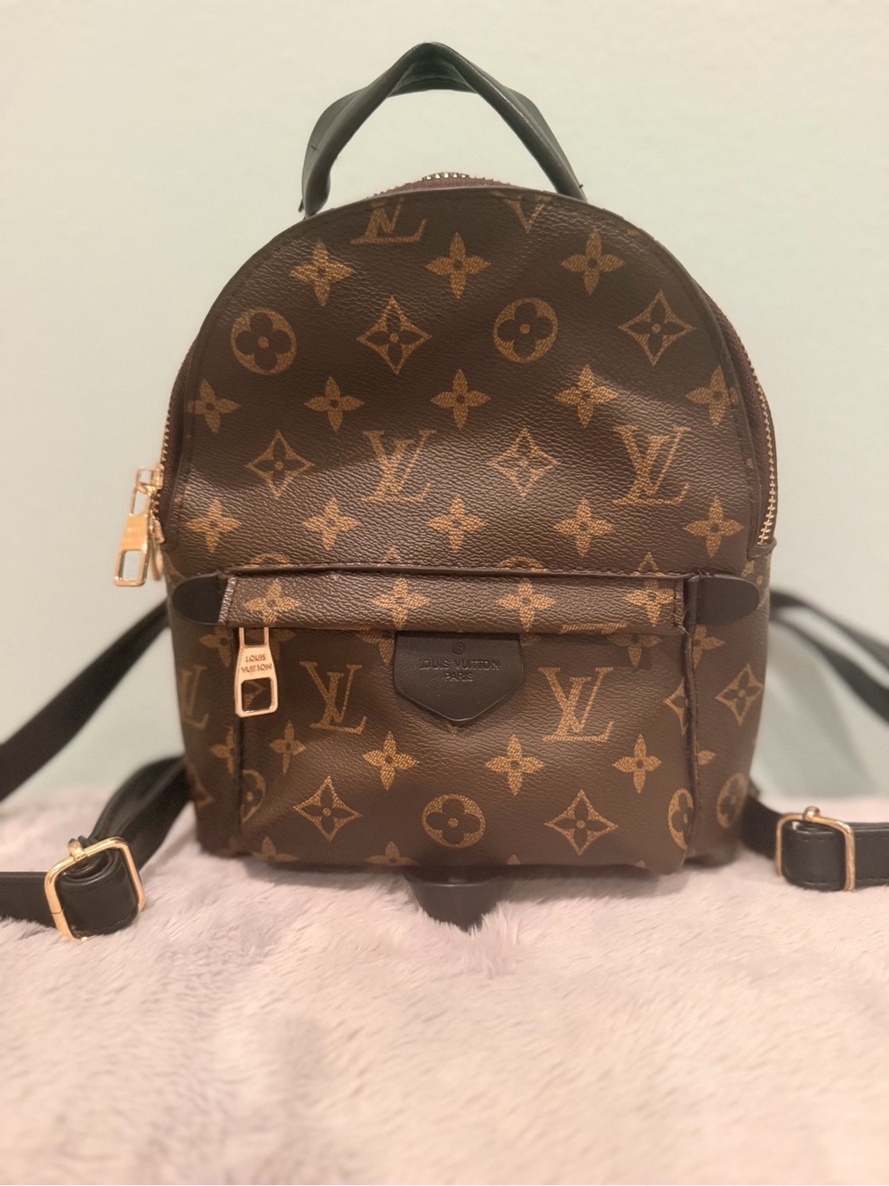 Louis Vuitton Palm Springs Mini Backpack in Brown/Tan